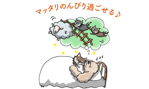 小型犬専用のホテル